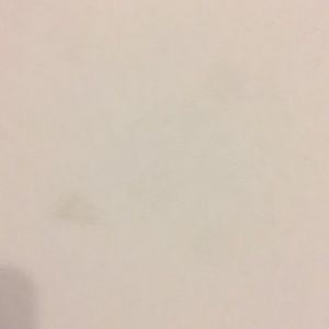 Meet your Posher, Rod